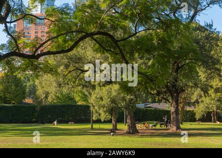Parque 3 de Febrero or Park of 3rd February, Buenos Aires, Argentina, Latin America Stock Photo