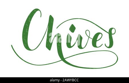 Vector hand written chives text isolated on white background. Kitchen healthy herbs and spices for cooking. Script brushpen lettering with flourishes. Stock Vector