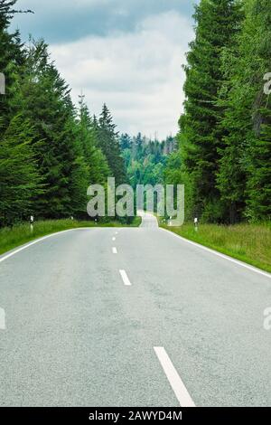 Winding road through trees in a pine forest in Europe Stock Photo