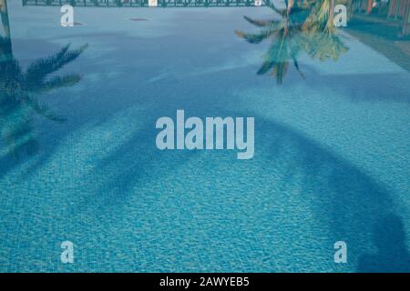 Reflections in blue swimming pools with tropical palms. Blue mosaic tiled pool. Stock Photo