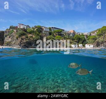 Spain Costa Brava, coastline in Portbou town with fish underwater, split view over and under water surface, Mediterranean sea, Catalonia, Alt Emporda Stock Photo