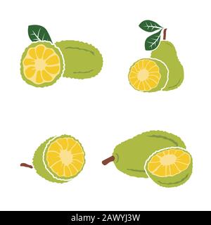 Vector black Jackfruit set on white background Stock Vector