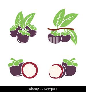 Vector IllustrationsFresh Mangosteen on a white background. Stock Vector