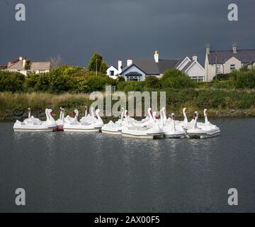 Swan pedal boats in the lake in Newcastle, County Down, Northern Ireland Stock Photo