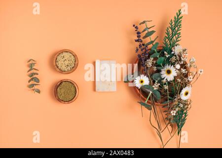 Modern apothecary concept. Herbs, collagen and essential oils in still life compositions Stock Photo