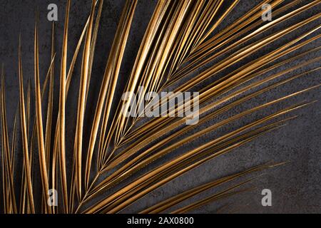 Closeup of golden palm leaf on abstract dark grey textured background. Tropical conceptual luxury elegant trendy art deco summer background. Flat lay. Stock Photo
