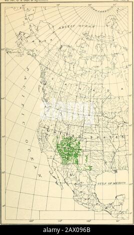 The cypress and juniper trees of the Rocky Mountain region . JUNIPERUS SCOPULORUM: GEOGRAPHIC DISTRIBUTION. Bui. 207, U. S. Dept. of Agricjltu Map No. 6. JUNIPERUS MONOSPERMA: GEOGRAPHIC DISTRIBUTION.[The distribution shown in Mexico by hatched areas is based on reported occurrences not yet verified.] Bui. 207, U S. Dept. of Agriculture Map No. 7 Stock Photo