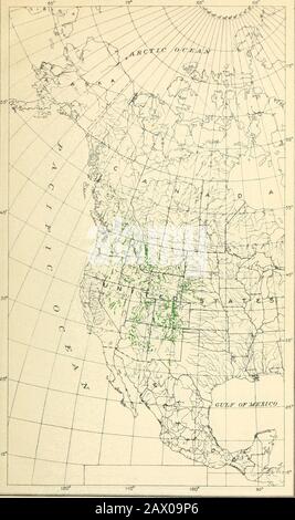 The cypress and juniper trees of the Rocky Mountain region . JUNIPERUS OCCIDENTALS: GEOGRAPHIC DISTRIBUTION. Bui. 207, U. S. Dept. of Agriculture Map No. 5. JUNIPERUS SCOPULORUM: GEOGRAPHIC DISTRIBUTION. Bui. 207, U. S. Dept. of Agricjltu Map No. 6 Stock Photo
