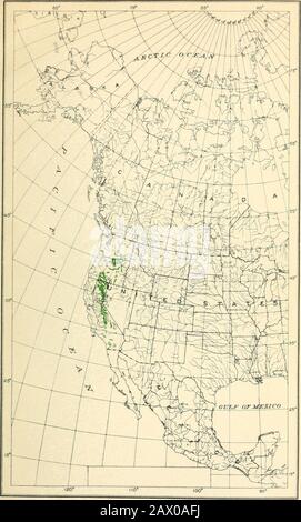 The cypress and juniper trees of the Rocky Mountain region . Juniperus Communis: Geographic Distribution. Bui. 207, U. S. Dept. of Agriculture Map No. 4. JUNIPERUS OCCIDENTALS: GEOGRAPHIC DISTRIBUTION. Bui. 207, U. S. Dept. of Agriculture Map No. 5 Stock Photo