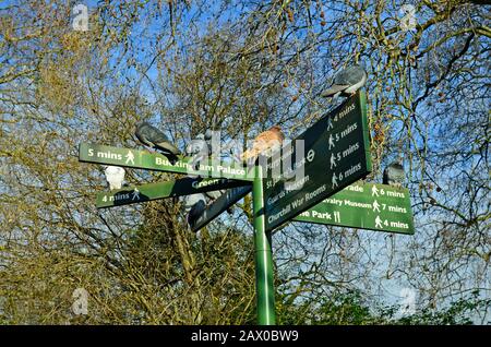 Great Britain, London, doves on direction board in St. James park Stock Photo
