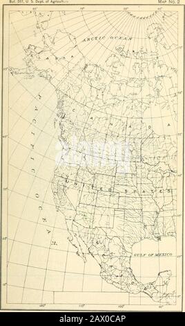 The cypress and juniper trees of the Rocky Mountain region . CUPRESSUS ARIZONICA: GEOGRAPHIC DISTRIBUTION. [The distribution shown in Mexico by hatched areas is based on reported occurrences notyet verified ; solid dots show localities where specimens of this species have been collected.] Jul. 207, U S. Dept. of Agricult Map No. 2. Cupressus Glabra: Geographic Distribution. Bui. 207, U. S. Dept. of Agriculture Map No. 3 Stock Photo
