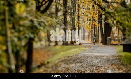 an older gentleman is riding a bicycle through an autumn alley in the park Stock Photo