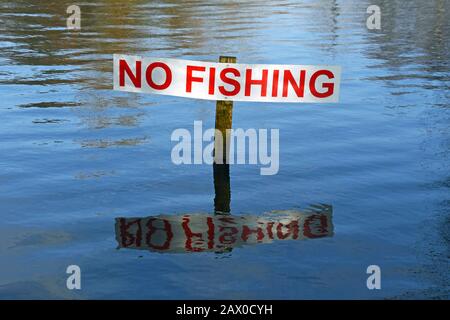 No Fishing sign in Hailsham Pond, East Sussex, UK Stock Photo