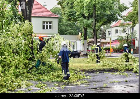 Berlin, Germany - June 12, 2019: An uprooted tree lying on a main street in Berlin, Germany, after a heavy storm. The police are blocking the road and Stock Photo