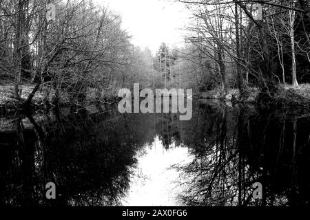 Pond in the Forest of Dean Picture by Antony Thompson - Thousand Word Media, NO SALES, NO SYNDICATION. Contact for more information mob: 07775556610 web: www.thousandwordmedia.com email: antony@thousandwordmedia.com The photographic copyright (© 2020) is exclusively retained by the works creator at all times and sales, syndication or offering the work for future publication to a third party without the photographer's knowledge or agreement is in breach of the Copyright Designs and Patents Act 1988, (Part 1, Section 4, 2b). Please contact the photographer should you have any questions with reg