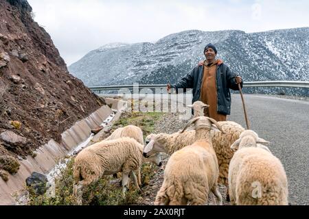 Tighedouine, Morocco - January 16, 2020: Berber shepherd with his flock in remote High Atlas mountain Stock Photo