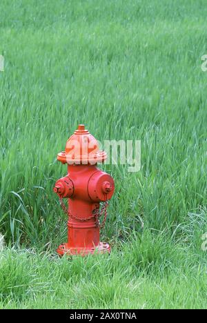 Red Fire Hydrant along edge of grass field. South Carolina, spring. Stock Photo