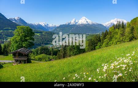 Beautiful panoramic view of idyllic mountain landscape in the Bavarian Alps with flowers and famous Watzmann in springtime, Nationalpark Berchtesgaden Stock Photo