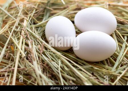 White and brown raw chicken eggs lie in a straw nest Stock Photo