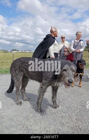 Adult Irish Wolfhound on leash with people in background.