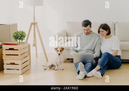 Young European family couple relax during home renovation, focused in laptop computer, plan redecoration, sit near couch with favourite pedigree dog, Stock Photo