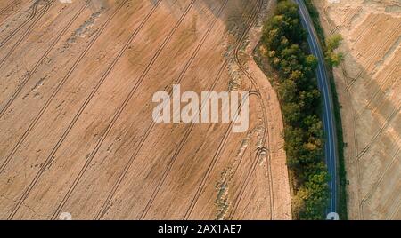 wheat field destroyed by wild boars Stock Photo