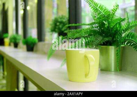 Yellow coffee mug with potted ferns on a long table by the window Stock Photo