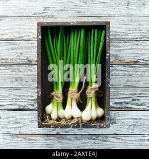 Fresh green onion in a wooden box. Fresh vegetables. Top view. Free space for text. Stock Photo