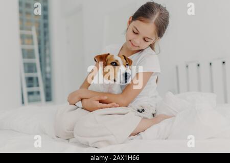 small girl dog beds