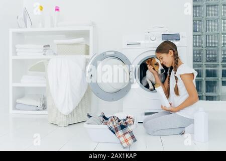 Small child plays with dog russell terrier, poses on knees near washing machine, busy with housekeeping and doing laundry, holds white bottle with was Stock Photo