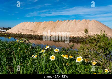 The salt works of d'es Trenc, near Campos, Mallorca, Spain, Stock Photo