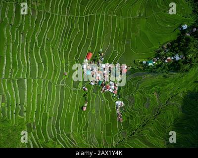 Ifugao Province, Luzon, Philippines, top down aerial view of Batad Rice Terraces. Stock Photo
