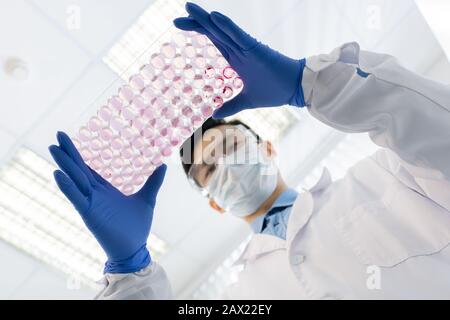 Unrecognizable pharmacologist wearing protective gloves and mask holding spot plate with specimen, horizontal from above shot Stock Photo