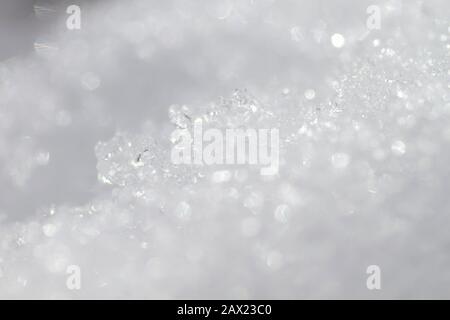 Bright white snow close up Stock Photo