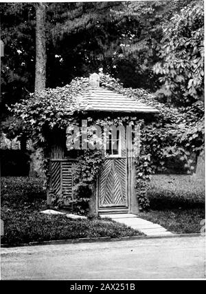 Amateur gardencraft; a book for the home-maker and garden lover . use aboutarbors, summer-houses, and pergolas? The WUd Grape, though not much used, is oneof our best native vines. It has the merit of rapidgrowth, entire hardiness, luxuriant foliage anddehghtful habit, and when in bloom it has a fra-grance that is as exquisite as it is indescribable—one of those vague, elusive, and yet powerfulodors so characteristic of spring flowers. Youwill smell it—^the air will be full of it—and yetit will puzzle you to locate it. The wind willblow from you and it will be gone. Then abreeze will blow your Stock Photo