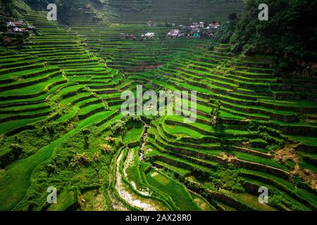 Aerial view of Batad Rice Terraces in Ifugao Province, Luzon Island, Philippines. Stock Photo