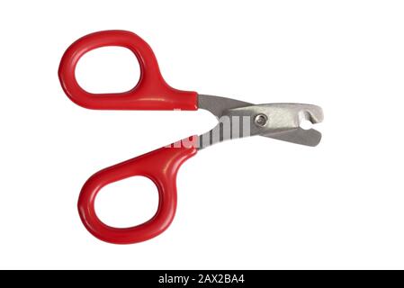 Nail clipper for cats and dogs, isolated on white backrgound Stock Photo