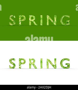 Stylized word text Spring, abstract good texture, there is a shadow. Two words, one on a colored background, the other on a white isolate. Photorealis Stock Photo