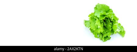 Fresh homemade greens from the garden. Isolate Selective focus. nature. Stock Photo