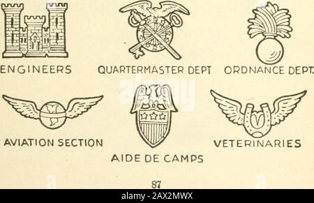 The World war at a glance; essential facts concerning the great conflict between democracy and autocracy . JUDGE ADVOCATESSIGNAL MEDICAL DEPARTMENT. U.S. NAVAL INSIGNIA Stock Photo