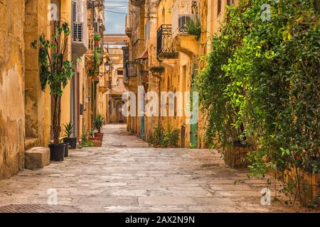 Valletta, Malta. Old medieval empty street with yellow buildings and flower pots in Birgu Stock Photo