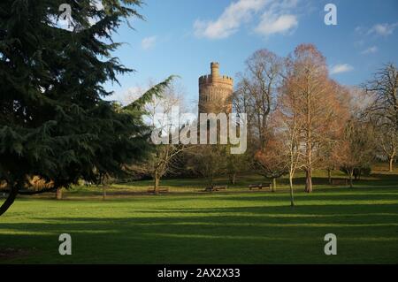 Woodland Stock Photo