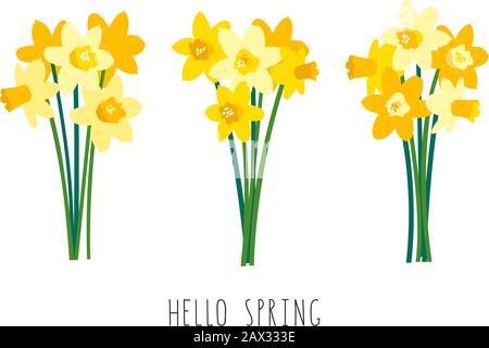 Vector set of positive floral illustrations isolated on white background. Early spring garden flowers. Yellow daffodils bouquet. Greeting card Stock Vector