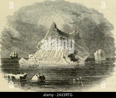 The polar and tropical worlds : a description of man and nature in the polar and equatorial regions of the globe . DRIFTING IN THE ICE. Not sekloju ice-fields are whirled about in rotatory motion, which causestheir circumference to gyrate with a velocity of several miles per hour. Whena field thus sweeping through the waters comes into collision with another. FOltMS OF ICEBERGS. 48 THE POLAR WORLD. Stock Photo