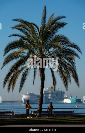 Shore promenade, ferries and cruise ship in the bay of Palma de Mallorca, Spain, Stock Photo