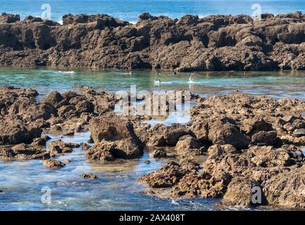 People with snorkels in the clear water of Sharks Cove on the North coast of Oahu in Hawaii Stock Photo