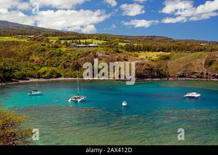 Honolua Bay, Maui, Hawaii.  A great place to snorkel. Stock Photo