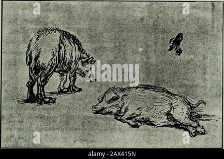Rembrandt Study of an Old Man with a Gold Chain Stock Photo - Alamy
