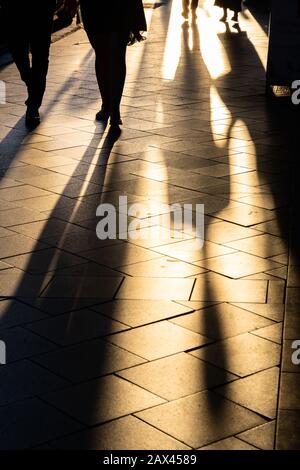 Long human shadows projected on the pavement at sunset Stock Photo