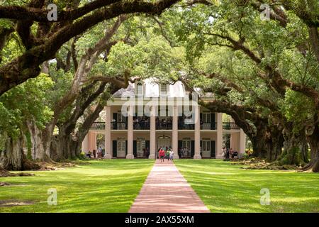 Staring down the alley of oaks at the Oak Ally Plantation in Louisiana Stock Photo